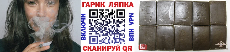 мега как зайти  цены наркотик  Дмитриев  ГАШ гарик 