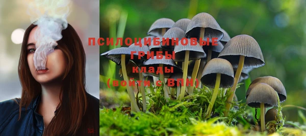дживик Алексеевка