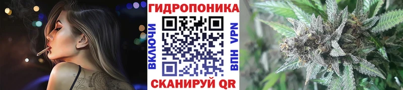 наркота  Дмитриев  Конопля LSD WEED 